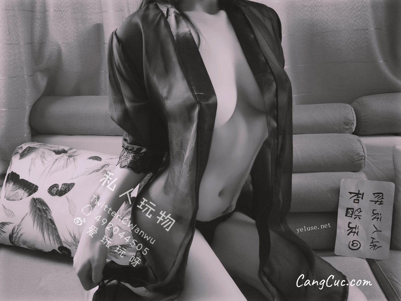 Coser@私人玩物 - 性感透视情趣诱惑特辑